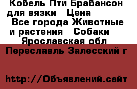 Кобель Пти Брабансон для вязки › Цена ­ 30 000 - Все города Животные и растения » Собаки   . Ярославская обл.,Переславль-Залесский г.